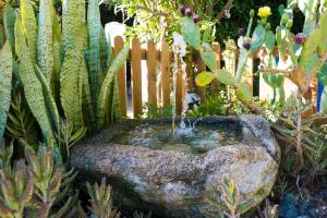A garden outside Casa de María