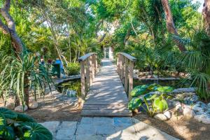 A garden outside Casa de María