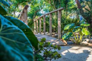A garden outside Casa de María