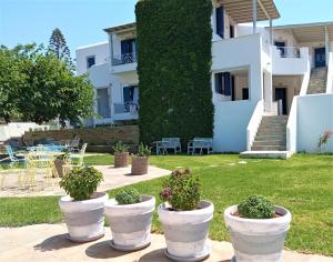 un grupo de macetas blancas con plantas en un patio en Allegria Family Hotel, en Agios Petros