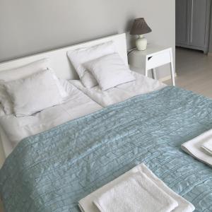 ジェロナ・グラにあるSANTOSA Pokoje Goscinneのベッド(白いシーツ、枕付)