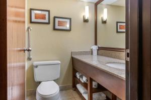 a bathroom with a toilet and a sink at Comfort Inn Grand Rapids Airport in Grand Rapids +35 photos