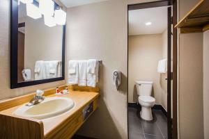 a bathroom with a sink and a toilet and a mirror at Baymont by Wyndham Appleton in Appleton