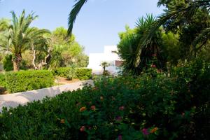 un jardin avec des fleurs et des palmiers et une allée dans l'établissement Villa delle Agavi, à Campomarino