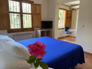 Un dormitorio con una cama azul con una flor rosa. en Hostal Moscatel, en Málaga