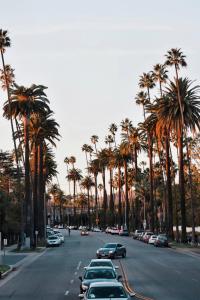 eine Straße mit Palmen und geparkten Autos in der Unterkunft Montrose at Beverly Hills in Los Angeles