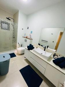 a bathroom with a sink and a toilet and a mirror at Beachcove Apartment 2 in Pereybere