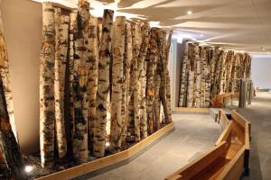 Istumisnurk majutusasutuses Nendaz 4 Vallées & SPA 4* Superior