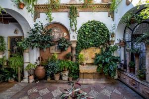 Zahrada ubytování Apartamento con patio cordobés en San Basilio & Parking