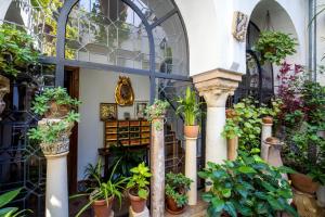 Zahrada ubytování Apartamento con patio cordobés en San Basilio & Parking
