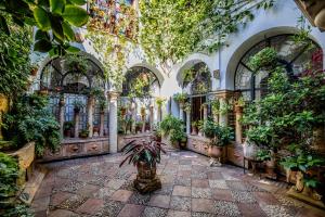 Zahrada ubytování Apartamento con patio cordobés en San Basilio & Parking