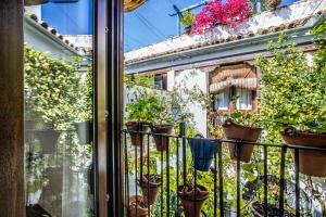 Zahrada ubytování Apartamento con patio cordobés en San Basilio & Parking