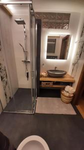 a bathroom with a shower and a toilet and a sink at Appartamento Cirmolo in Peio