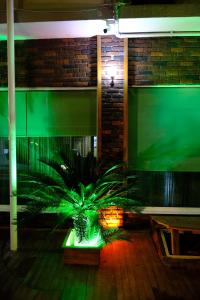 a plant in a room with a green light at Aksoy Otel in Adana