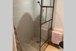 um chuveiro com uma porta de vidro na casa de banho em Maisonnette au coeur du vignoble d'Hautvillers em Hautvillers