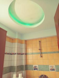 a bathroom with a shower with a green ceiling at oniron in Sidirokastro