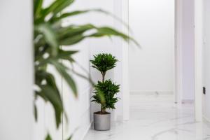 ポンペイにあるMaison de Julia Pompeiのギャラリーの写真