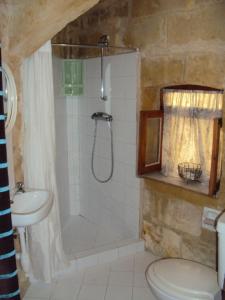 ein Bad mit einer Dusche, einem WC und einem Waschbecken in der Unterkunft La Gozitaine in Kerċem