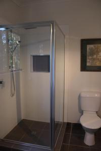 a bathroom with a toilet and a glass shower stall at GREEN TREES CHALET 10 minutes to Australia Zoo Landsborough Montville Maleny Caloundra Beaches Glasshouse mountains Big Kart Track National forest in Landsborough