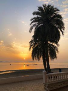 una palmera en la playa al atardecer en Apartamento Mar Menor - Beachfront apartment with large patio - under new management since July 2024 - Licence No VVMU2814-1, en Cartagena