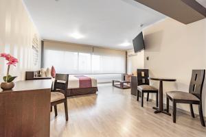 TV a/nebo společenská místnost v ubytování Hotel Andesmar
