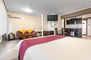 Kuchyň nebo kuchyňský kout v ubytování Hotel Andesmar