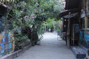 a narrow alleyway leads to a small garden at Kadir's Top Tree Houses in Olympos