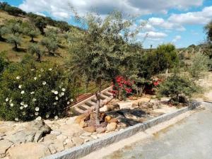 a garden with a tree and rocks and bushes at apartamentos turisticos la gitanilla in Los Navalucillos