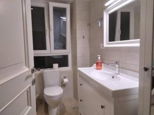 een badkamer met een toilet, een wastafel en een spiegel bij ''Dei Vecchi'' apartment in Kerkyra in Corfu-stad