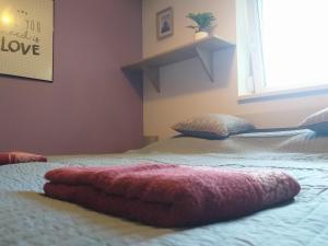 Postel nebo postele na pokoji v ubytování Tölgyerdő Apartman