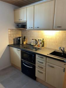 Η κουζίνα ή μικρή κουζίνα στο Suite Home Mittenwald +10 φωτογραφίες