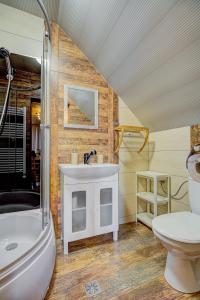 a bathroom with a sink and a toilet at Apartamenty Szwarcowa in Tylicz