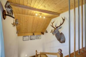 Fotografia z galérie ubytovania Apartamenty Szwarcowa v destinácii Tylicz