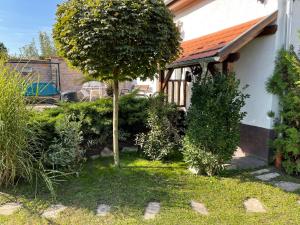Vonkajšia záhrada v ubytovaní Full 2BDR Garden House near to Downtown Metro Free Parking