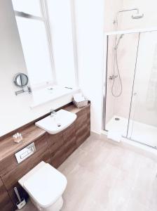 y baño con aseo y ducha. en No 49 a spacious executive apartment in Inverness, en Inverness