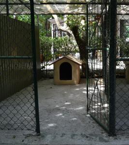 Fotografia z galérie ubytovania Cospea B&B v destinácii Terni