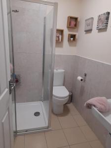 La salle de bains est pourvue de toilettes et d'une douche en verre. dans l'établissement College Square, Terrace House, à Bessbrook