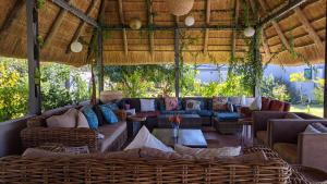 a large outdoor living room with couches and chairs at Sunbirds Cottage in Kasane