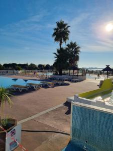 een resort met een zwembad en een strand met palmbomen bij marie & cyrille in Lattes