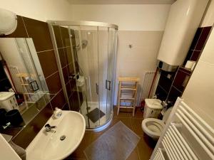 Koupelna v ubytování Apartmán u jezera Lipno - Nové