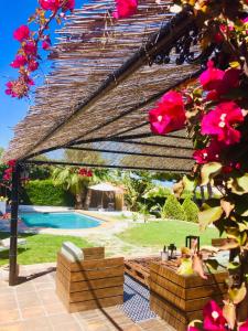 un patio trasero con piscina y pérgola de madera en B&B Villa Pinos Málaga en Alhaurín de la Torre