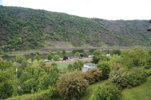 a view of a park with trees and a mountain at Haus Flora - Ferienwohnungen in Cochem