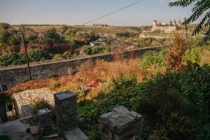 a stone wall with a city in the background at Джерело in Kamianets-Podilskyi