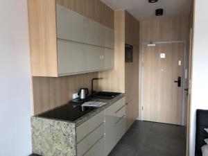 eine Küche mit einer Spüle und einer Arbeitsplatte in der Unterkunft Apartamenty Platinex 5 in Krakau