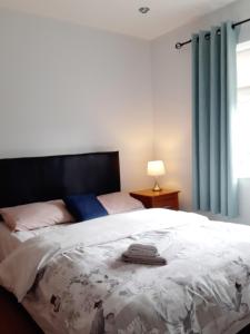 um quarto com uma cama grande e cortinas azuis em Happy guest em Dublin