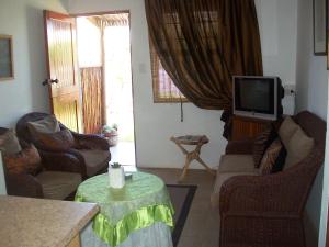 a living room with chairs and a tv and a table at Tirzah's B&B and Self Catering in Bredasdorp