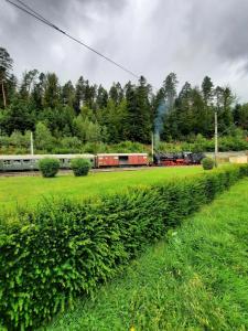 Zahrada ubytování Ferienwohnung Am Wald