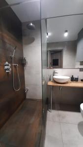 a bathroom with a glass shower and a sink at Style Стильні апартаменти в ЖК "Варшавський" біля парку in Ternopilʼ +18 photos