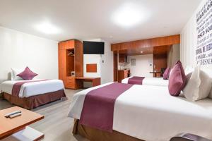 Postel nebo postele na pokoji v ubytování Hotel Andesmar