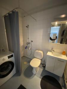 La salle de bains est pourvue de toilettes, d'un lavabo et d'une douche. dans l'établissement DP Apartments Vaasa IV, à Vaasa